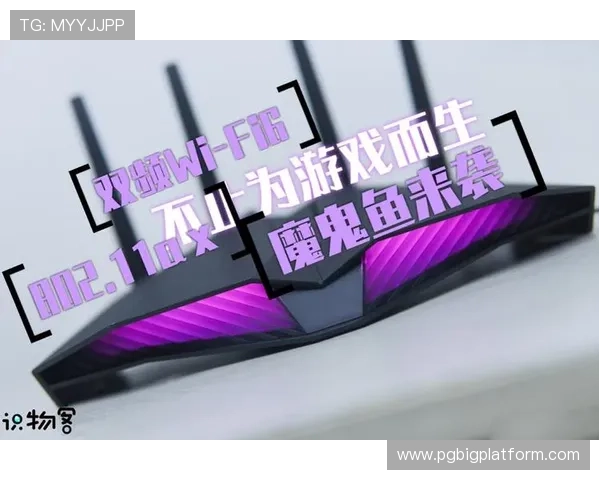 PG赌博辅助器使用指南详解如何安全高效地利用辅助工具优化游戏体验