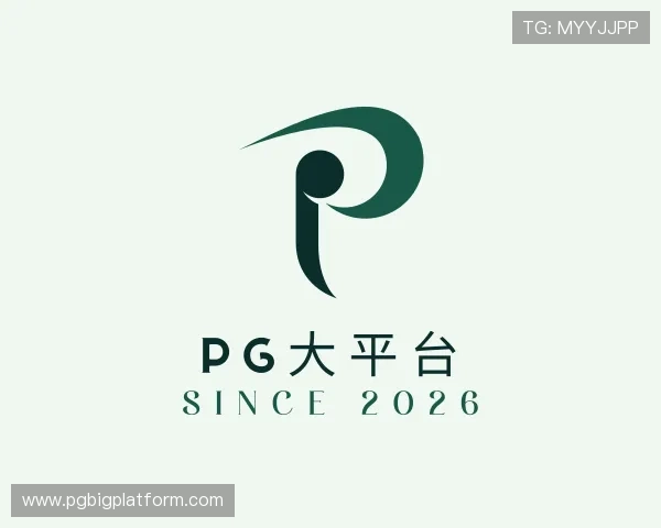 了解pg大平台